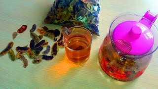 %100 Zayıflatan Açlık Otu Vücudunuzu Ne Hale Getiriyor ? Kabızlığa Çözüm En Kolay Formül