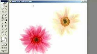 Photoshop Ders 1