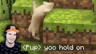 ЗАСМЕЯЛСЯ - ПРОИГРАЛ ► ЛУЧШИЕ ПРИКОЛЫ ( УЛЫБНУЛИСЬ ПРОИГРАЛИ UNUSUAL MEMES ) | Реакция