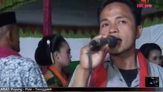 TAYUB TEROP 2019 //ENGGAL LARAS //PUYUNG PULE TRENGGALEK