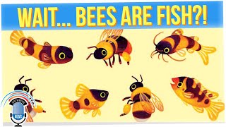 California Court Rules That Bees Are in Fact Also.. Fish