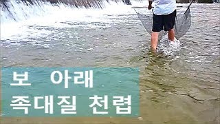 보아래 족대질 천렵 여름 피서 최고