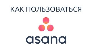 Как пользоваться Asana? Русская озвучка