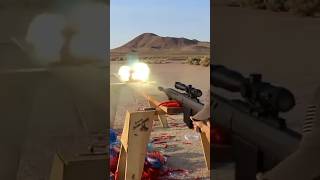 Don’t shoot Licorice with 50cal