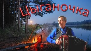 Цыганочка с выходом! ♫ Цыганочка на гармони Gipsy accordion Gypsy Girl with the release of squeeze