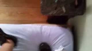 salomon stomp bed