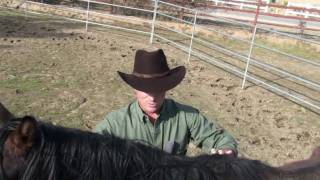 Horse care tips and into the round pen,  LINCOLN KINNEY - HORSEMANSHIP OUT WEST, Part 1