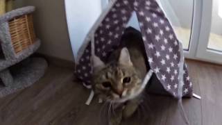 Вигвам для Кошек "Маленький Вождь"