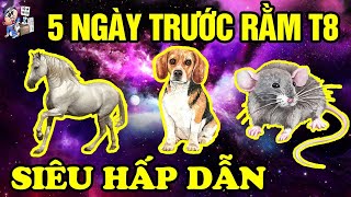 GIỚI TỬ VI RÙNG MÌNH, 3 CON GIÁP KHỔ VÌ TIỀN, CŨNG GẶP THỜI CHUYỂN VẬN GIÀU TO, VÀO 5 NGÀY TRƯỚC RẰM