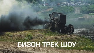 Бизон 2019