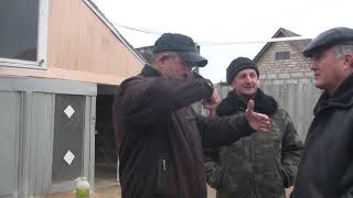 О устойчивости в времени полета у николаевских голубей.