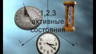 Божественные тексты ДНК