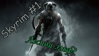 TESV: Skyrim #1 (Лесной эльф?)