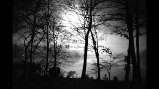 Noc/Night (originální píseň/an original song) - Antareya