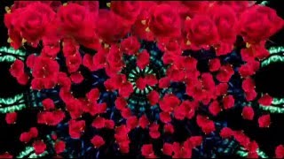 ?Магия цветов / Magic of Flowers