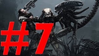 Aliens vs Predator часть 7 МОРПЕХ ФИНАЛ