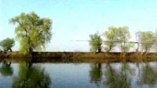 Мой фильм 5 mpeg4