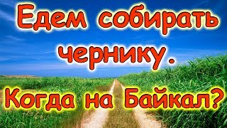 Уезжаем за черникой. Мы в инстаграмм. Поездка на Байкал. (07.17г.) Семья Бровченко.