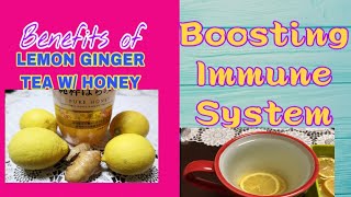 Boosting Immune System