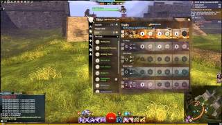 Gw2: MAXING Out Your Stats - A Guide