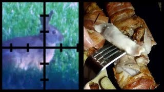 Shooting, Cleaning, Cooking a Rabbit