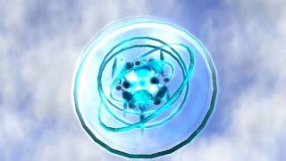 pteron