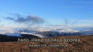 ЛАГО-НАКИ : ПОДНЯЛИСЬ ДО ОБЛАКОВ.(1000м)(АДЫГЕЯ.КРАСНОДАРСКИЙ КРАЙ)