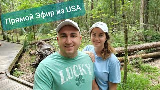 Прямой Эфир Из Америки Ответы на Ваши Коментарии Онлайн 17/05/2020