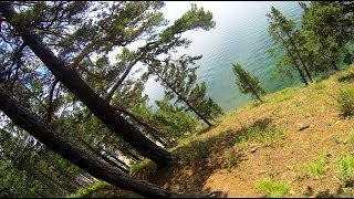 ЛИСТВЯНКА - Большие КОТЫ на велосипедах