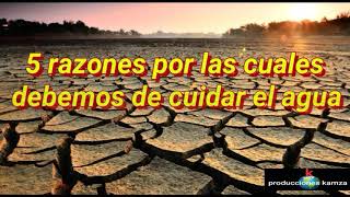 5 Razones por las cuales debemos de cuidar el agua