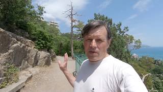 Вопрос Путину про царя Николая, его дерево и статус Южного берега Крыма