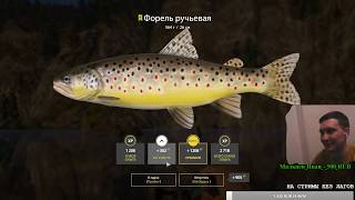 РЫБАЛКА///ОБЩЕНИЕ///МЕДВЕДИ///ОБУЧЕНИЕ /// #РР4 #RF4