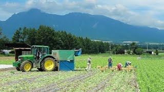 Nông thôn Nhật Bản hiện đại tới mức độ nào?  | Trí Thức VN