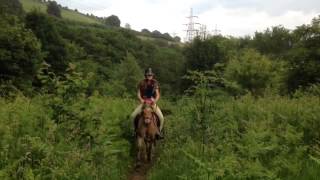 Me and my horses