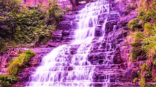 Deep Energy Healing | 528Hz Miracle Music | Enhance Self Love | Stress Relief Healing Meditation