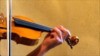 Antonio Stradivarius 1723 Cópia 021