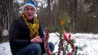 Петя Бампер, привітання з новим 2017 роком