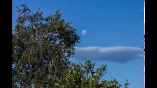 moon