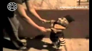 ELFO CAMINANDO EN LA CALLE | cazafantasmas.tv