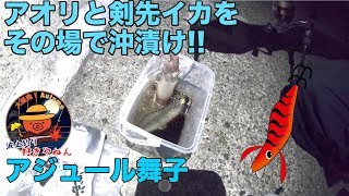 【アジュール舞子】アオリイカと剣先を釣ったその場で沖漬け!!【エギング】