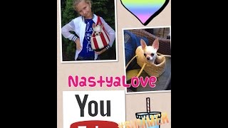 Едем за покупками с чихуахуа