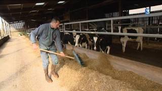 Lancement des états généraux de l'alimentation