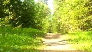 Жёсткий бег по тропам