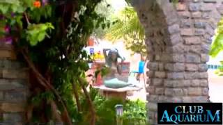 bodrum club aquarium hotel