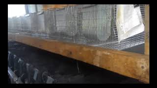 Новый Крольчатник №23! Второй ярус клетки! New rabbitries №23! The second tier of the cell!