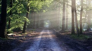 Kryon 2015 - The Power of Belief July 19