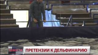 Дельфинарий в Хабаровске. Новости. GuberniaTV
