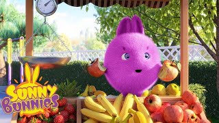 SUNNY BUNNIES | FRUIT STALL | Cartoons for kids | WildBrain