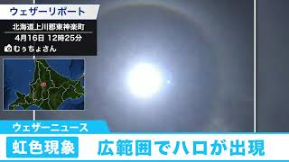 広範囲でハロが出現