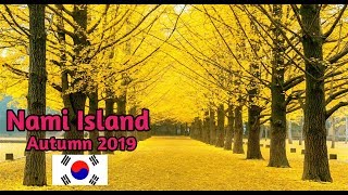 Nami island south korea autumn || TKI KOREA JALAN-JALAN